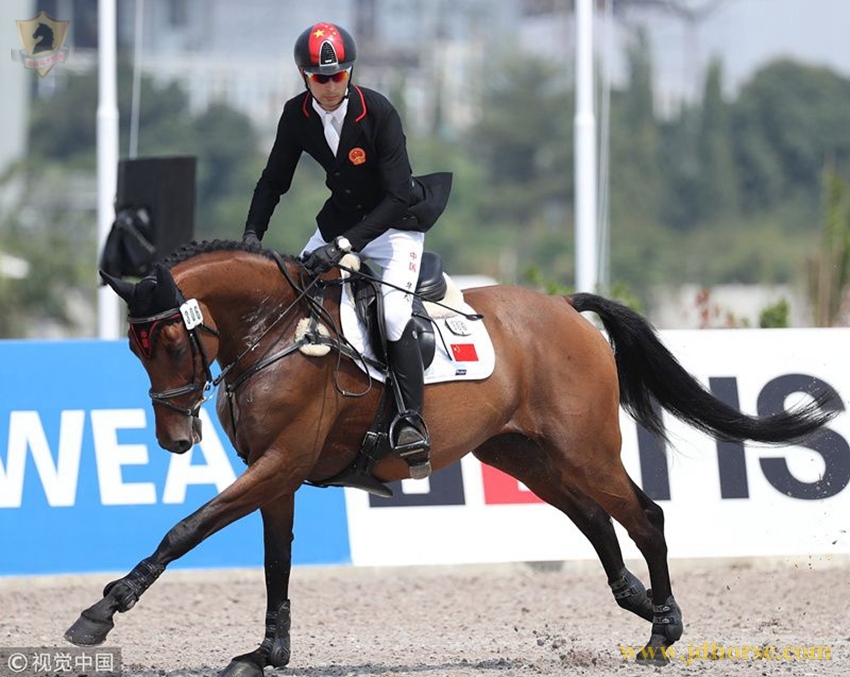 关于斯洛伐克选手突破障碍,获得马术铜牌的信息 关于斯洛伐克选手突破障碍,获得马术铜牌的信息