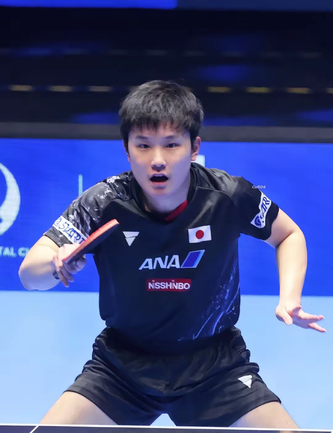 包含韩国乒乓球队绝地反击波兰乒乓球队,张本智和高光表现的词条 包含韩国乒乓球队绝地反击波兰乒乓球队,张本智和高光表现的词条