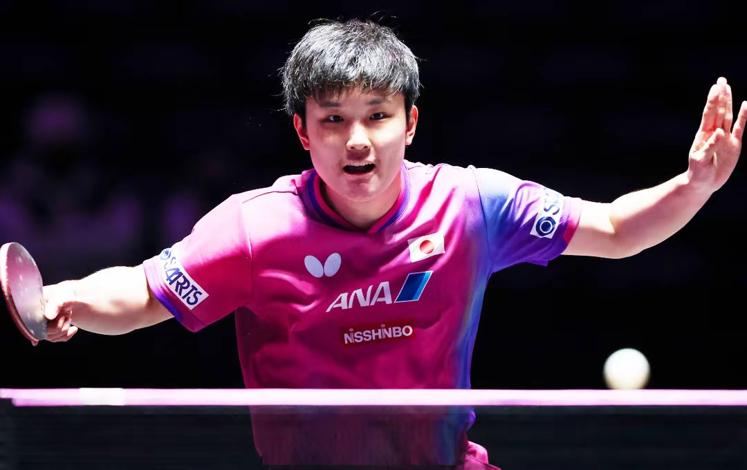 包含韩国乒乓球队绝地反击波兰乒乓球队,张本智和高光表现的词条 包含韩国乒乓球队绝地反击波兰乒乓球队,张本智和高光表现的词条