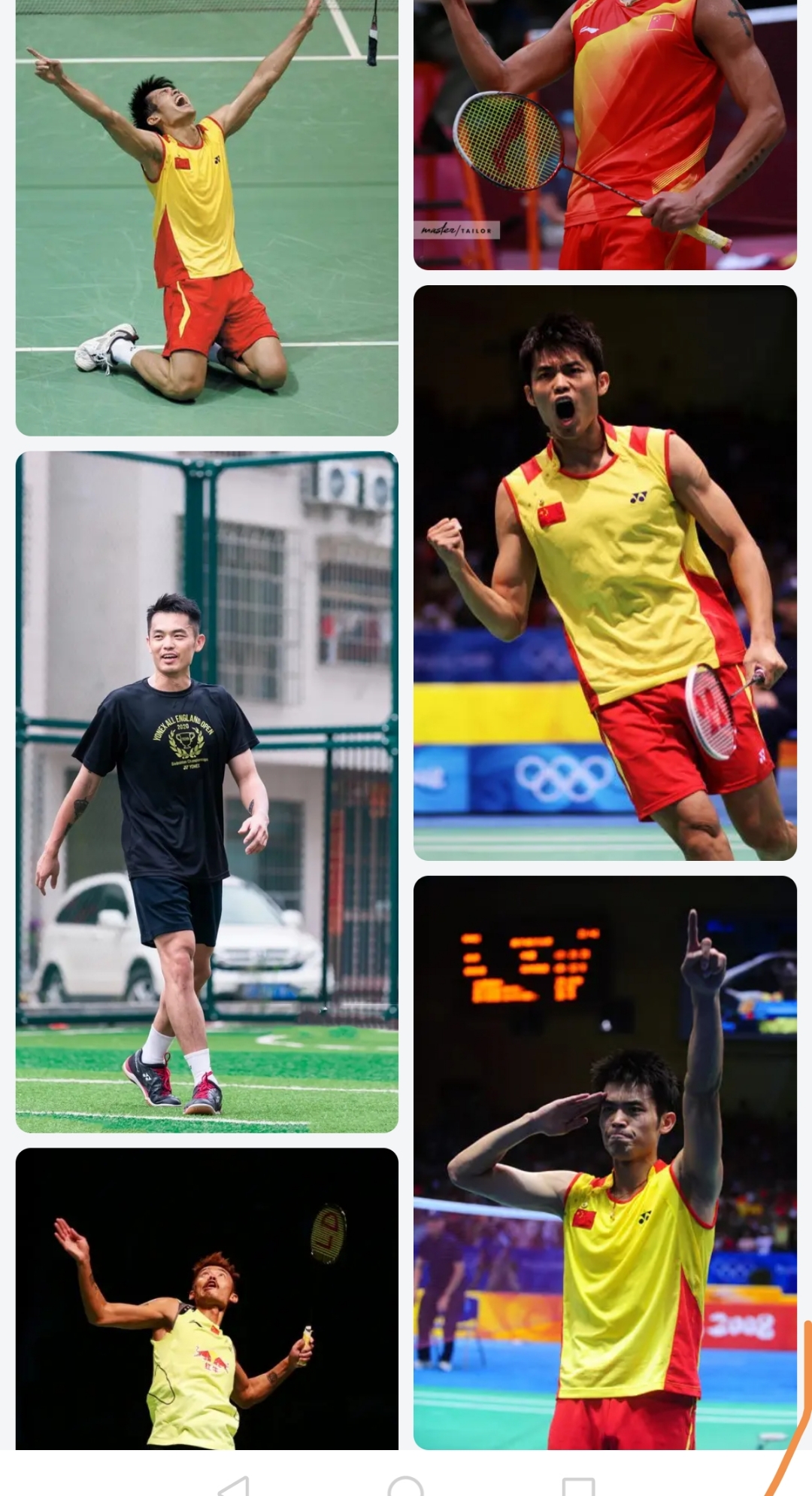 关于法国羽毛球队血洗泰国羽毛球队，林丹一己之力扛起全队的信息