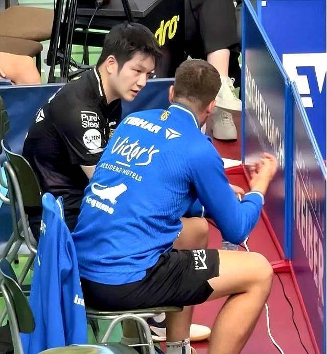 德国乒乓球队碾压英国乒乓球队，樊振东制霸全场的简单介绍